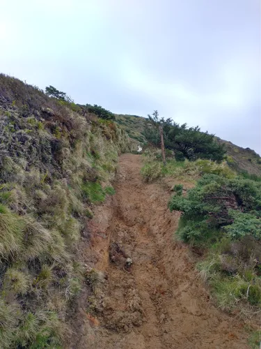 Best Views Trails in Reserva Natural do Pico da Vara | AllTrails