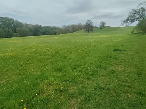 Ullrichsberg - Große Striegis - Wegefarth