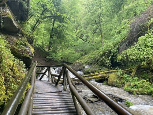 Ehrbachklamm (Traumschleife)