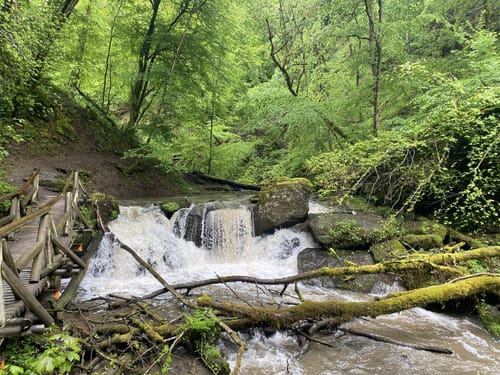 Ehrbachklamm (Traumschleife)