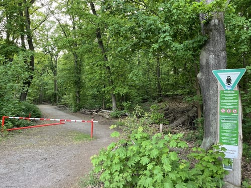 Tegeler See und Großer Malchsee Rundweg