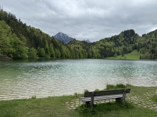 Zirmgart mit Burg Falkenstein