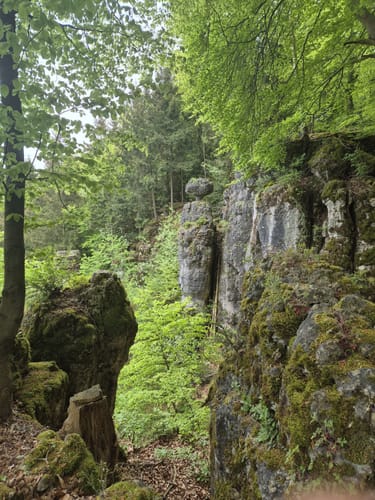 Burgruine Velburg und Hohllochhöhle