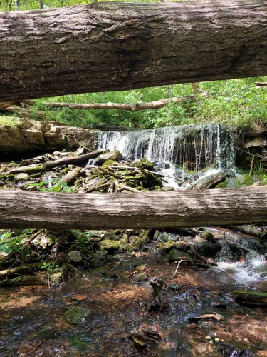 Best River Trails in Clear Creek | AllTrails