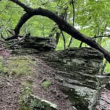Devil's Den Trail, Arkansas - 2,147 Reviews, Map | AllTrails