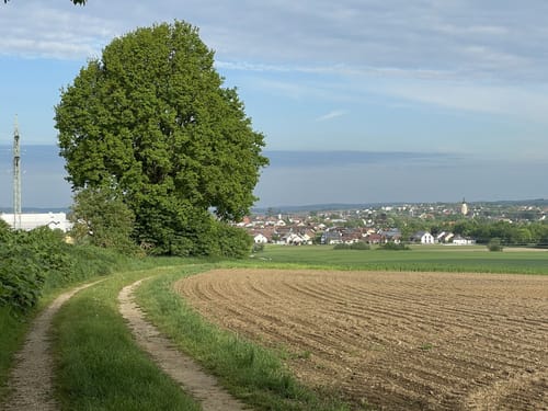 Lindach Runde