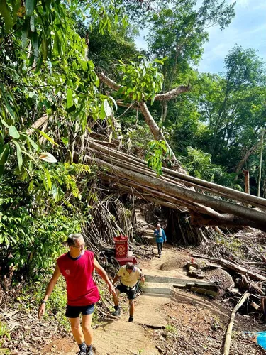 Best Forest Trails in Batu Maung | AllTrails