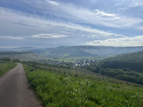 Vom Warsberg nach Ayl