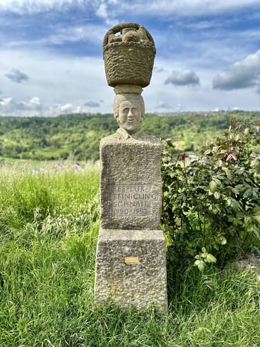 Kleine Waldwanderung rund um Manolzweiler