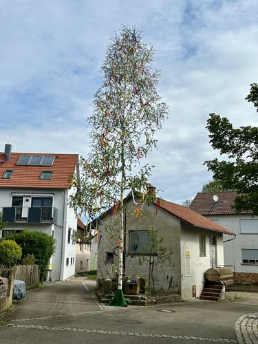 Kleine Waldwanderung rund um Manolzweiler