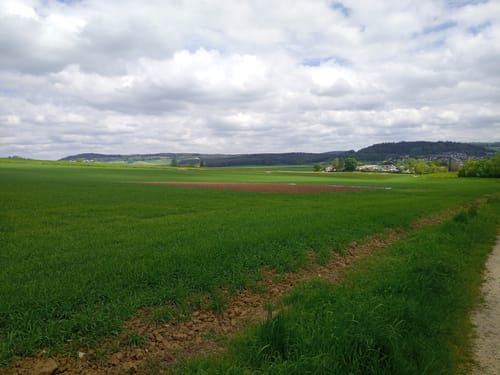 Thalmässing 4 : Premiumwanderweg Jurakante