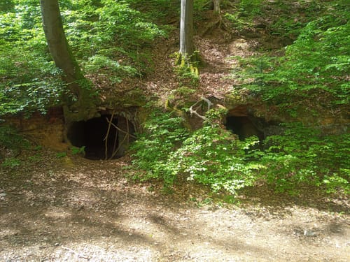 Thalmässing 4 : Premiumwanderweg Jurakante