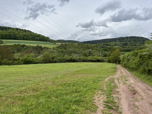 Vom Leukbachtal auf den Kruterberg