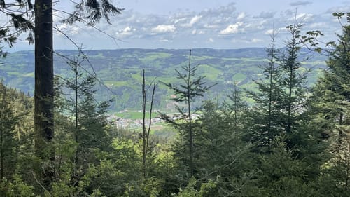 Auf den Hörnleberg ab Bleibach