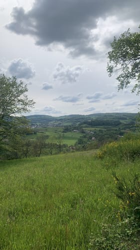 Alemannenweg Etappe 1: Erbach - Reichelsheim