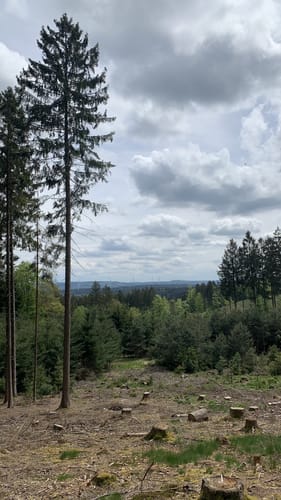 Alemannenweg Etappe 1: Erbach - Reichelsheim