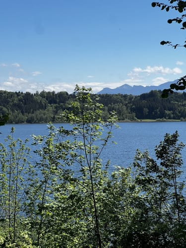 Simssee Rundweg