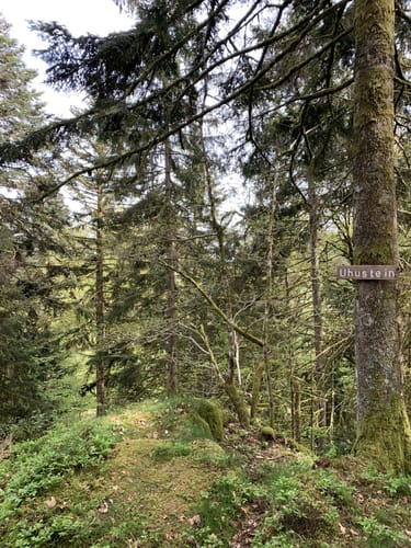 Uhustein ab Höchenschwand