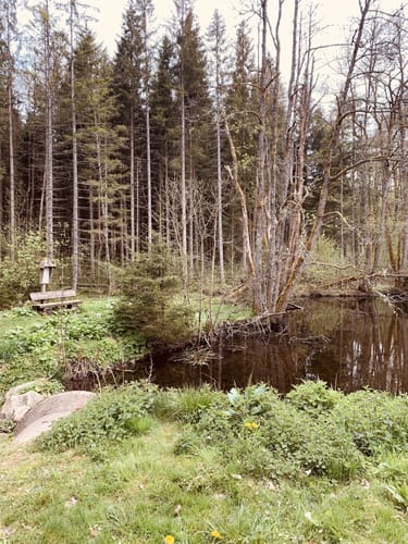 Uhustein ab Höchenschwand
