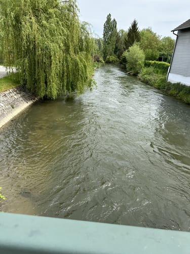 Rund um die Höri ab Moos