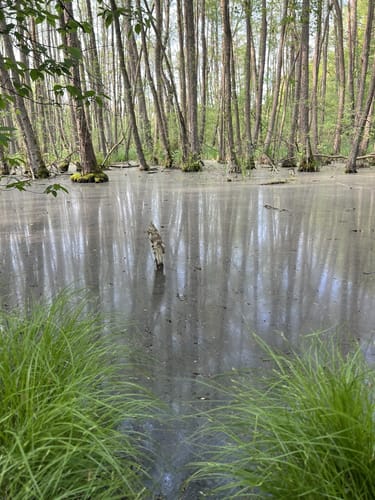 Rund um den Fängersee