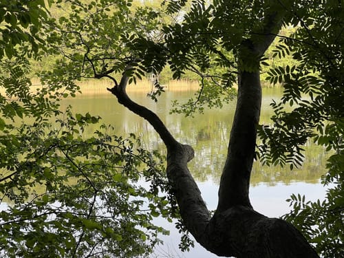 Rund um den Fängersee