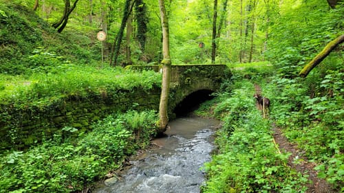 Kondertal entlang des Eschbach