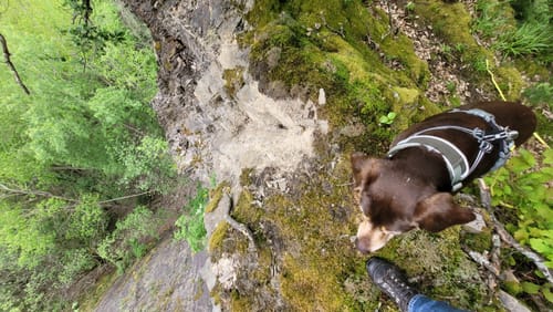 Kondertal entlang des Eschbach