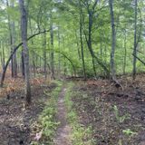 Weetock Trail, North Carolina - 250 Reviews, Map | AllTrails