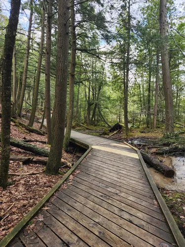 Best Wildlife Trails in Oscoda | AllTrails