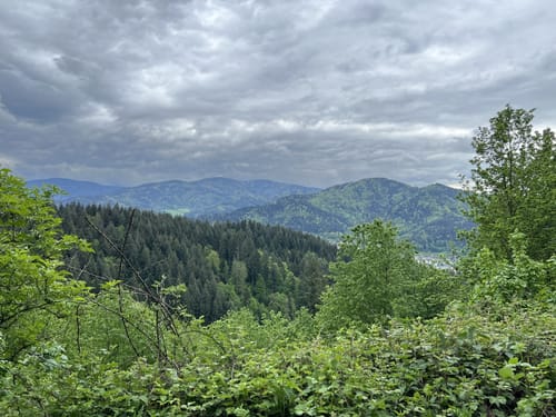Rosskopfhaldenweg und Hubbelfuchs