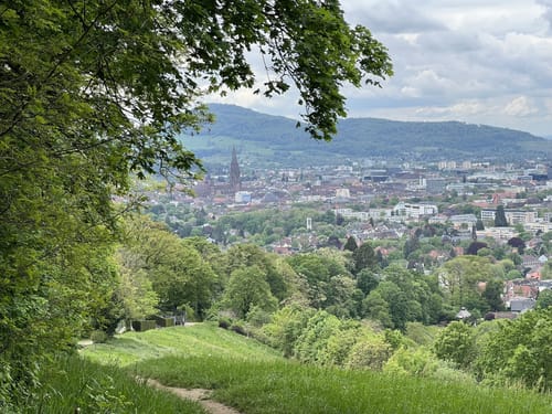 Rosskopfhaldenweg und Hubbelfuchs