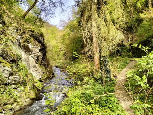 Enderttal Rundweg ab Cochem