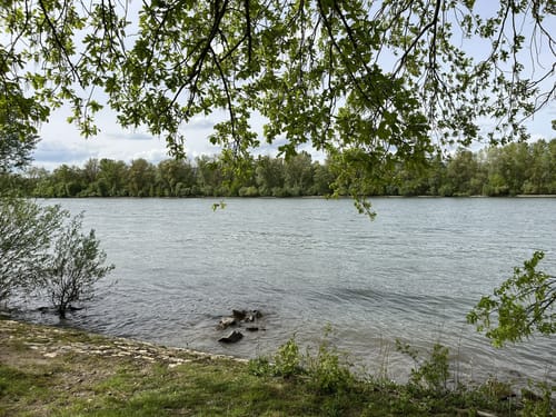 Von Frei-Weinheim entlang des Rheins bis Heidenfahrt