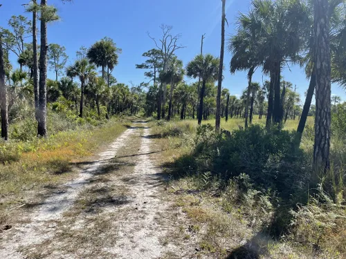 Best Walking Trails in Collier-Seminole State Park | AllTrails