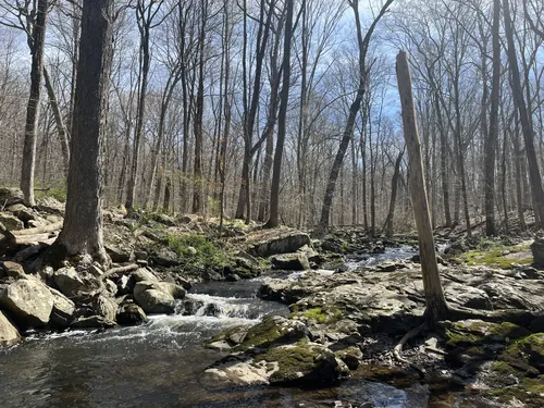 Best Walking Trails in Ringoes AllTrails