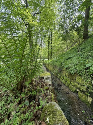 Goseck-Eulau Rundweg