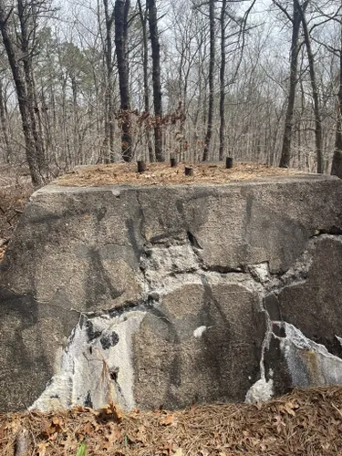 Reconnoitering Suffolk County NYS Rocky Point Hunting Area 2019a