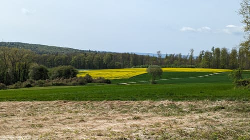 Lahnwanderweg Etappe 13: Weilburg - Aumenau