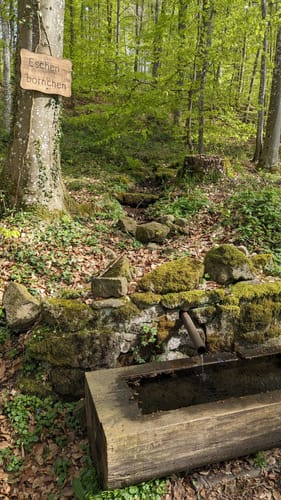 Lahnwanderweg Etappe 13: Weilburg - Aumenau