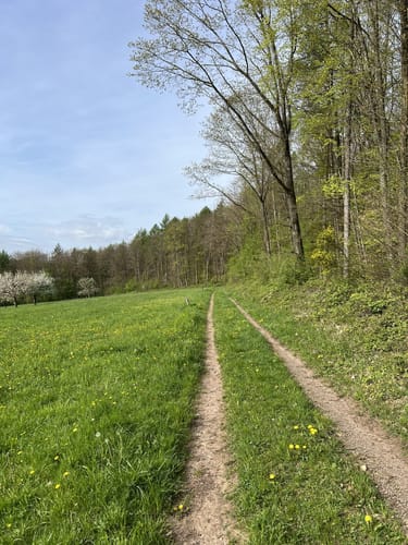 Deutschritter-Tour (Premiumwanderweg)