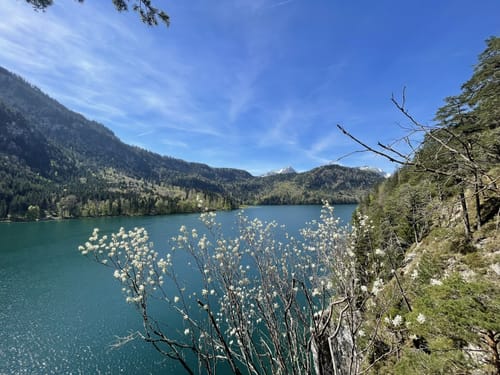 Alpsee Rundweg