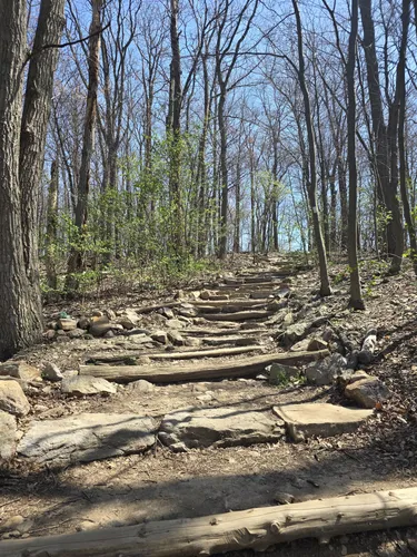 Best Hikes and Trails in HighfieldCascade AllTrails