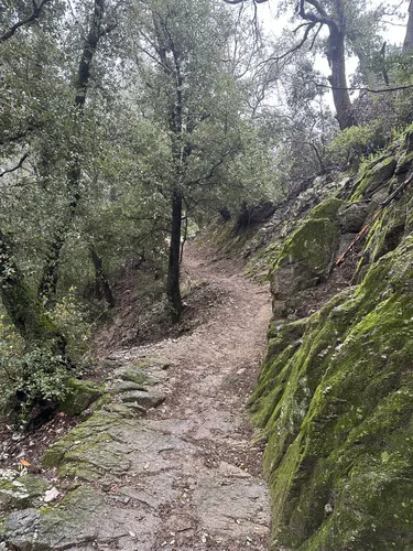 Best Historic Site Trails in Sierra Madre | AllTrails