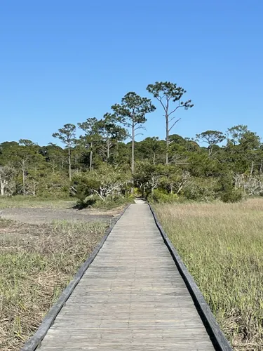 Crab Nets, Hunting Island State Park, South Carolina