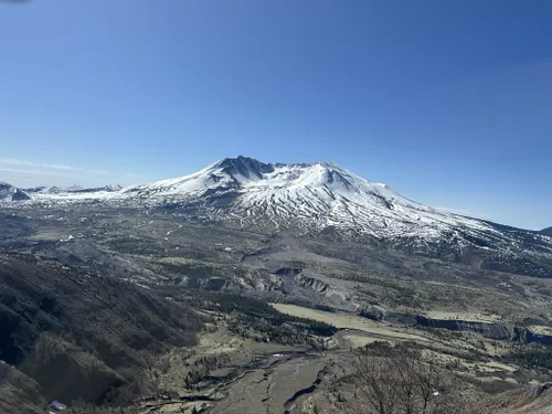 10 Best Kid Friendly Trails in Mount Saint Helens National Volcanic ...