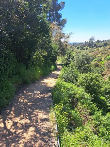 Best Historic Site Trails in Sierra Madre | AllTrails
