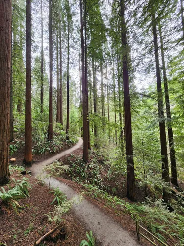 Best Historic Site Trails in Washington - EyJidWNrZXQiOiJhc3NldHMuYWxsdHJhaWxzLmNvbSIsImtleSI6InVwbG9hZHMvcGhvdG8vaW1hZ2UvNzMwNTU3ODQvMWRhNTg0OWUyOGYxZTBlNGVhMGI3ZmUyOGE3MzFmNzcuanBnIiwiZWRpdHMiOnsidG9Gb3JtYXQiOiJ3ZWJwIiwicmVzaXplIjp7IndpZHRoIjo1MDAsImhlaWdodCI6NTAwLCJmaXQiOiJpbnNpZGUifSwicm90YXRlIjpudWxsLCJqcGVnIjp7InRyZWxsaXNRdWFudGlzYXRpb24iOnRydWUsIm92ZXJzaG9vdERlcmluZ2luZyI6dHJ1ZSwib3B0aW1pc2VTY2FucyI6dHJ1ZSwicXVhbnRpc2F0aW9uVGFibGUiOjN9fX0=