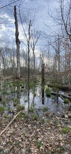 Best Wheelchair Friendly Trails in Munroe Falls Metro Park AllTrails