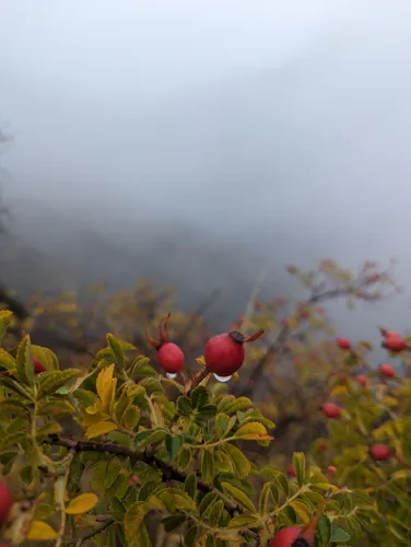 10 Best River Trails in Hāwea Conservation Park AllTrails